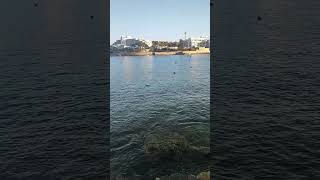 Malta - Stpaulsbay Sanpawlibahar#Youtubeshorts 😍💜