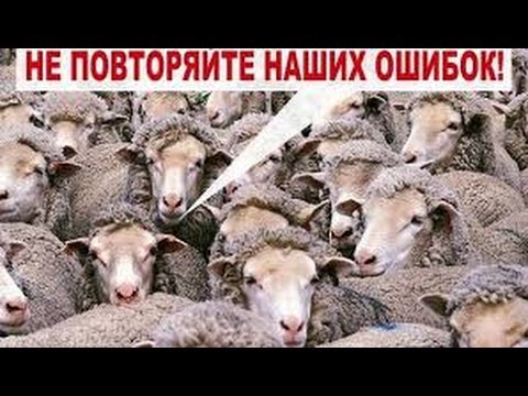Любовь дети красивый стих Любовь дети красивый стих