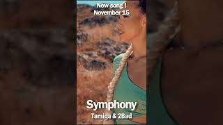 Tamiga & 2Bad - Symphony | #Shorts #Viral