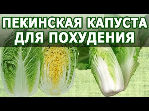 Пекинская капуста полезные свойства для похудения Пекинская капуста полезные свойства для похудения