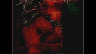 Watch Poema Arcanus Impressions video