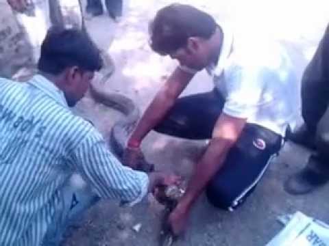 marne wale se bachane wala bada hota hai