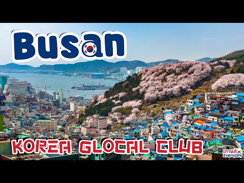 แนะนำสถานที่ท่องเที่ยวที่น่าสนใจในปูซาน "Korea Glocal Club" | เกาหลี Everyday