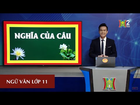 MÔN NGỮ VĂN - LỚP 11 | NGHĨA CỦA CÂU | 16H30 NGÀY 13.04.2020 | HANOITV