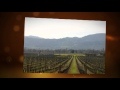 Winery Tour in Napa Valley & Sonoma - Limousine Service