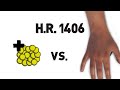 hr