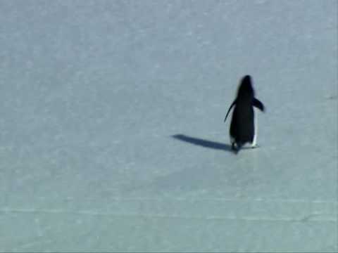 rencontres au bout du monde