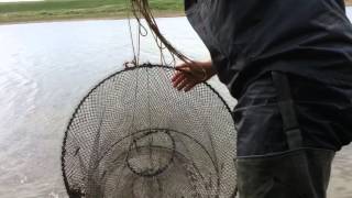 как ловить рыбу мордушками видео как ловить рыбу мордушками видео