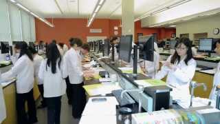 Mcphsworcester Pharmacy