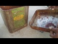 114_best vegetables grow in containers || गमलों में सब्जियां उगाना (Hindi video)