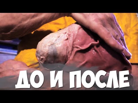 Как сделать гомункула без мужского семени Как сделать гомункула без мужского семени