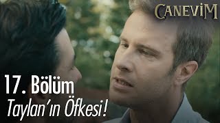 Taylan'ın öfkesi - Canevim 17. Bölüm | Final