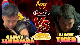 World Champion Carlo Black Tiger Biado Ryan John Gamay Badal 10 Ball Parehas Race 17