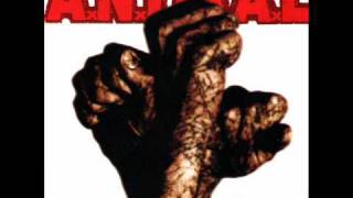 Watch Animal Lo Mejor De Lo Peor video