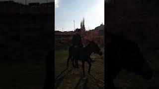 Eşeğe Ilk Defa Binmek Bu Olsa Gerek