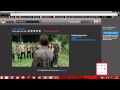 cacaoweb:Streaming free and fast!!!