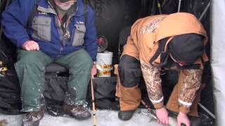 Icing Bluegills and Green Bay Whitefish