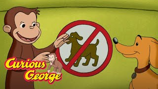 Sign Collector 🐵 Curious George 🐵Kids Cartoon 🐵 Kids Movies 🐵Videos for Kids