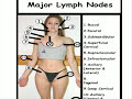 Lymph Nodes (Major)