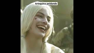 Arlequina Peidando