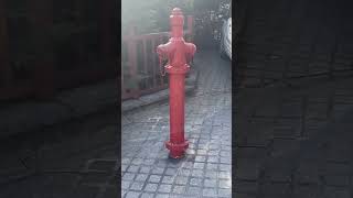 Ceydanur Genç-Vlog