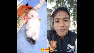 Owhh.. So Cute