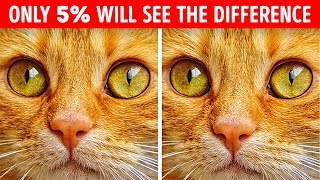 Only 5% Can Solve These 22 Tricky Riddles and Picture Puzzles