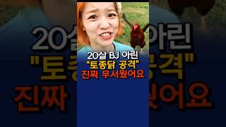 Bj 아린, 닭한테 쫓겨 탈주ㅋㅋ 생방송 중 비명터짐