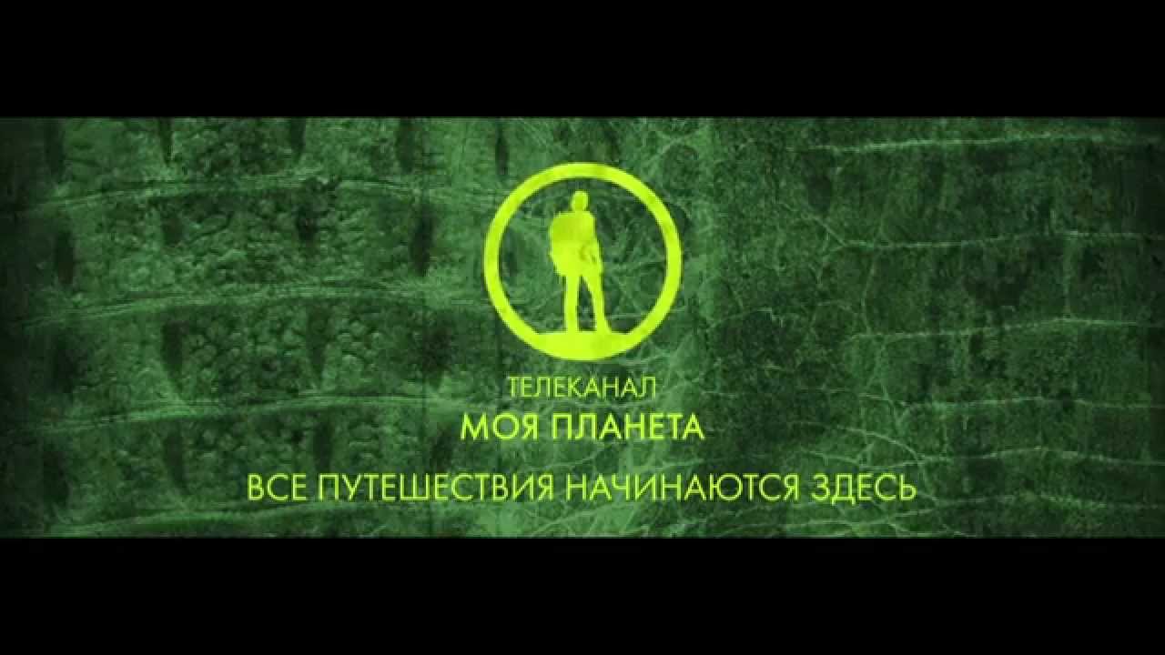 Моя планета поздравление Моя планета поздравление