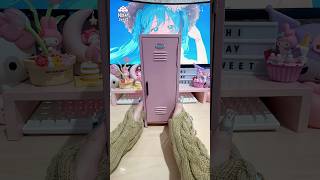 Peek Inside My Pink Mini Locker