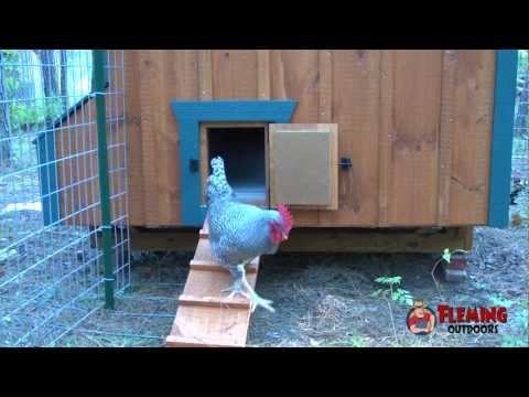Automatic Chicken Coop Door Opener | How To Save Money And ...