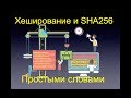 Хеширование и SHA-256. Простыми словами и с примерами!
