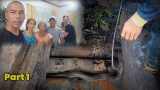 Mga Cobra Sa Cabugao, Ilocos Sur Part 1 Jtg Kamandag