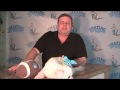 Marketing For Dog Trainers - Material Girl's Advice For A Long (Business) Life