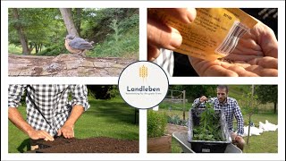 Gemüsegarten im Juli. Little Birdy. Sündhaftigkeit der Sünde