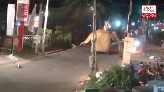 Elephant goes berserk during procession