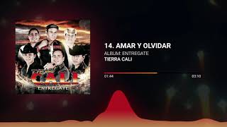 Watch Tierra Cali Amar Y Olvidar Mariachi video