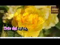 Karaoke TĐ MÙA THU TRÊN BẠCH MÃ SƠN thiếu kép( hát với CHỊ NỮ)