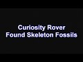 SKELETON FOSSILS FOUND ON MARS BY CURIOSITY ROVER