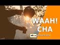 NEA-WAAH CHA |UTTAR KARNATAKA VINES| download mp3 dan video NEA-WAAH CHA |UTTAR KARNATAKA VINES|