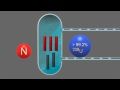 Iran reactor