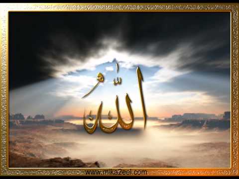 Hafiz Fuad Abdullah Seferagic - Jacaj Naja