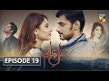 Dil e Jaanam Episode 19 HUM TV Drama