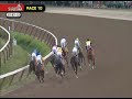 Palace Malice - 2013 Jim Dandy S. (G2)