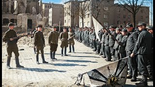 Эти Съёмки Публикуются Впервые. Капитуляция Курляндской Группировки (Май 1945 Г.)