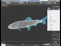 Tutorial: Rig, Animate & Composite Swimming Fish into Live Action Footage - Part 1