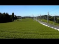 掛川新茶畑ツアー 御林の茶畑 2011年４月２０日