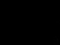 invisbible