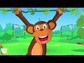 monkey