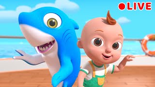 Baby Shark + more Nursery Rhymes | Beep Beep Nursery Rhymes & Baby Songs